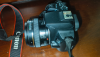 Canon 250D Camera with 50mm USM Prime lens
